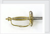 Small-sword which belonged to Alderman Joshua Jonathan Smith (active 1810-1844) by Thomas Langford