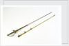 Small-sword said to have belonged to Sir William Hamilton (1730-1800) by Thomas Jeffrey