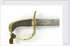 Grenadiers and Light Infantry sword by unknown