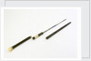 Swordstick, alleged to have belonged to Admiral Sir Thomas Pasley (1734-1808) by Issac Rennoldson