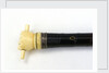 Swordstick, alleged to have belonged to Admiral Sir Thomas Pasley (1734-1808) by Issac Rennoldson