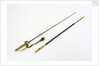Court sword, which belonged to Reverend Henry Bellairs (1790-1872) by Forest