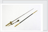 Court sword, which belonged to Reverend Henry Bellairs (1790-1872) by Forest