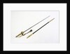 Court sword, which belonged to Reverend Henry Bellairs (1790-1872) by Forest