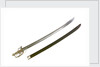 S-Bar fighting sword by Francis Crump