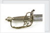 S-Bar fighting sword by Francis Crump