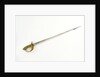 Chinese Maritime Customs sword by J.R. Gaunt & Son Limited