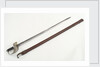 Steel hilted sword by H. H. Taylor