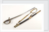 Brazilian sword by unknown