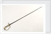 Stirrup hilted dress sword by unknown