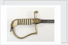 Stirrup hilted dress sword by unknown