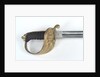 Solid half-basket hilted sword by W.E. Legge