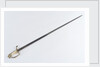 American Fighting sword by T. Wells & Co.