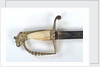 American Fighting sword by T. Wells & Co.