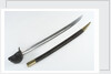 French cutlass by Impale de Chatellerault