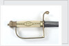 Side-ring stirrup guard sword by Unknown