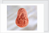 Cameo by Unknown