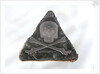 Badge by unknown