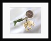 A collection of three charms by unknown