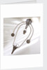 Chatelaine by unknown