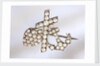 Brooch by Unknown