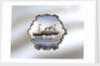 Brooch by unknown