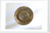 Brooch by unknown