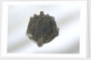 Brooch by unknown