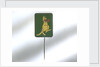 Lapel pin by Swann & Hudson