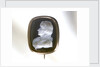 Brooch by unknown