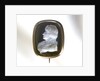 Brooch by unknown