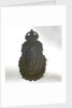 Brooch by unknown