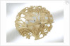 Brooch by unknown