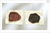 Intaglio seal by unknown