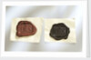 Intaglio seal by unknown