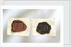 Intaglio seal by unknown