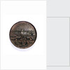 Medal commemorating the capture of the Morea and other successes, 1687; obverse by Martin Brunner