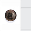 Medal commemorating the Free British Fishery Society; obverse by L.C. Koch