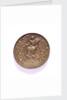 Medal commemorating ships burnt in the Medway and the proclomation of the peace of Breda, 1667; obverse by P.van Abeele