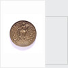 Medal commemorating ships burnt in the Medway and the proclomation of the peace of Breda, 1667; obverse by P.van Abeele