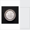 Medal commemorating the death of Lieutenant Jan Carel Josephus van Speyk, 1831; reverse by D. van der Kellen
