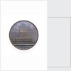 Medal commemorating Marco Polo and the 9th Conference of Italian Scientists; reverse by A. Fabris