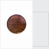 Medal commemorating  Admiral Maarten Harpertszoon van Tromp (1597-1653); reverse by J.H. Simon