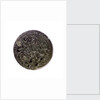 Medal commemorating John and Cornelis de Witt assassinated, 1672; reverse by unknown