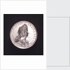 Medal commemorating the naval demonstration and the peace of Altona, 1689; obverse by A. Meibus