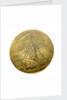 Lighterman's badge; obverse by unknown