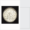 Medal commemorating James the Elder Pretender (1688-1766); reverse by N. Roettier