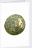 Counter commemorating Queen Marie Ther by unknown