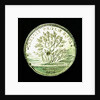 Counter commemorating the opening up of the new colonies; reverse by unknown