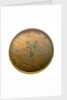 Medal commemorating the Baltic and Black Sea naval memorial, 1854-5; reverse by unknown